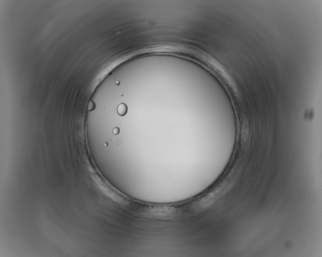 X0000091061417200708060950