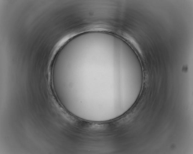 X0000091061419200708060950