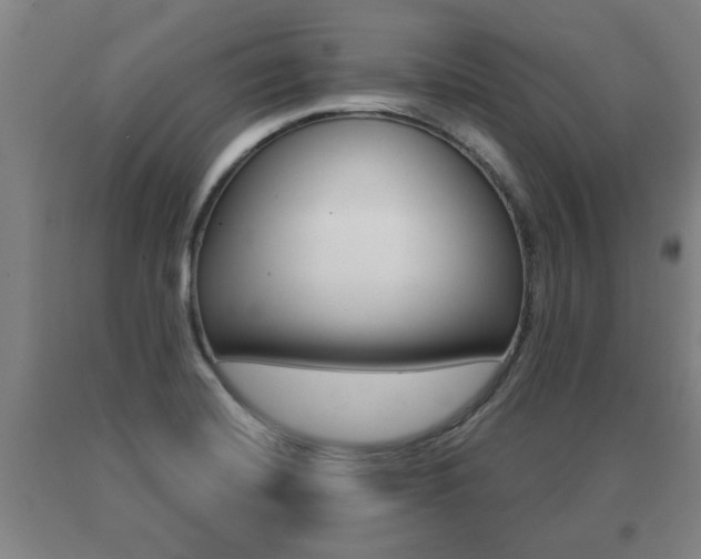 X0000091061420200708060950