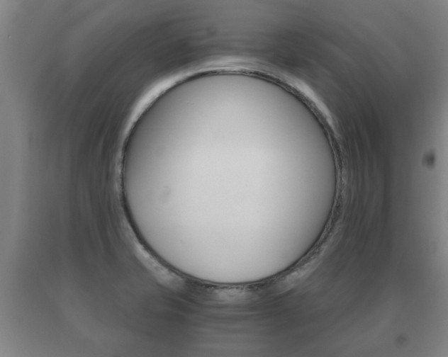 X0000091061421200708060950