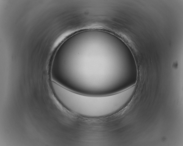 X0000091061422200708060950
