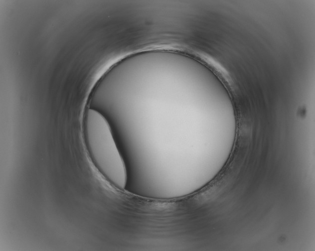 X0000091061423200708060950