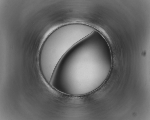 X0000091061424200708060950