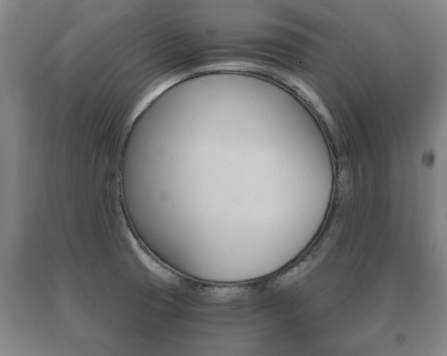X0000091061425200708060950