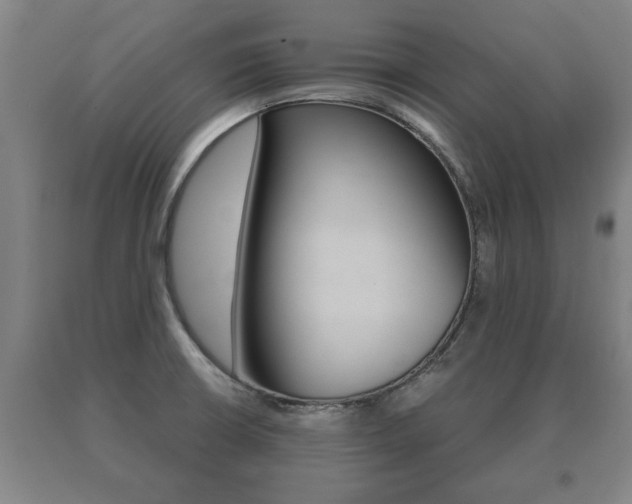 X0000091061426200708060950