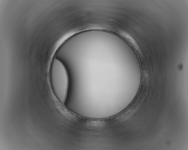 X0000091061427200708060950