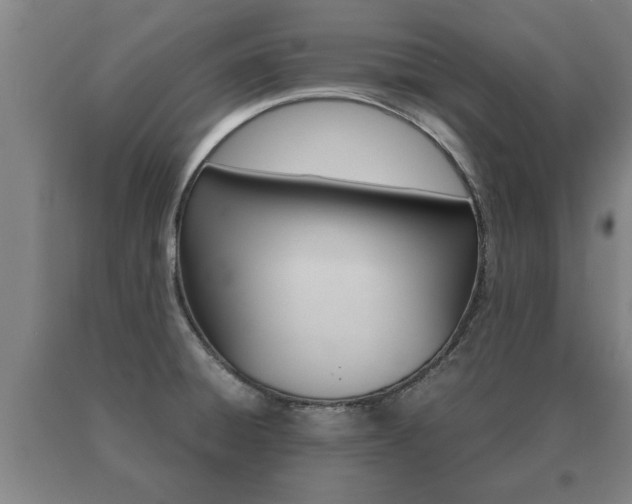 X0000091061428200708060950