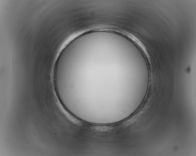 X0000091061429200708060950