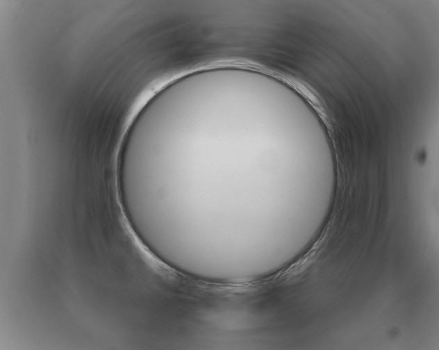 X0000091061430200708060950