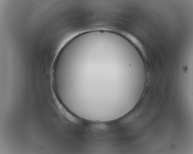 X0000091061431200708060950