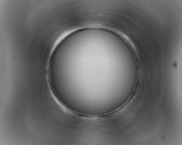 X0000091061432200708060950