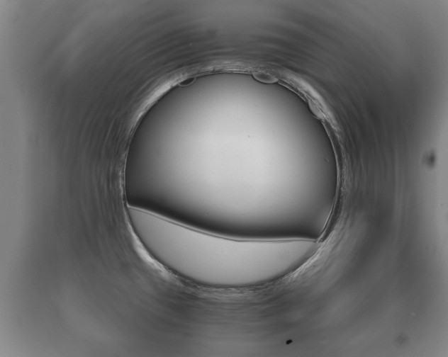 X0000091061433200708060950