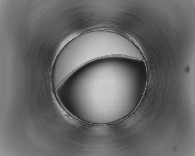 X0000091061434200708060950