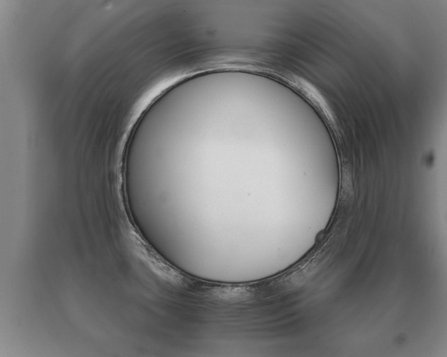 X0000091061435200708060950