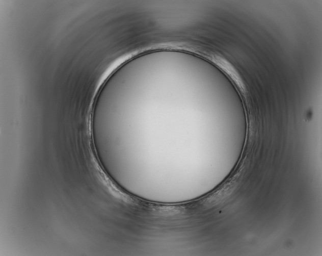 X0000091061436200708060950