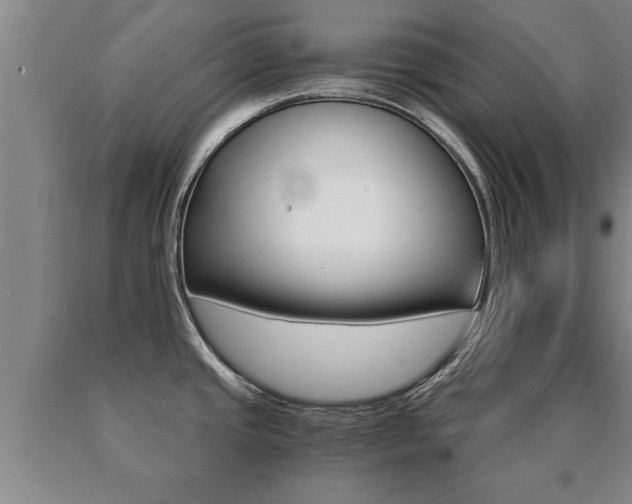 X0000091061437200708060950