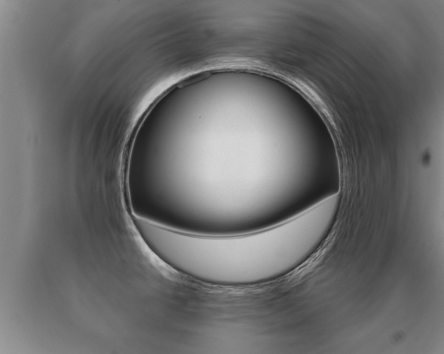 X0000091061438200708060950