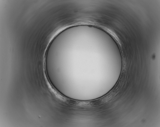 X0000091061439200708060950