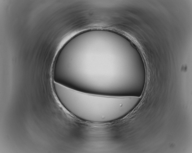 X0000091061440200708060950