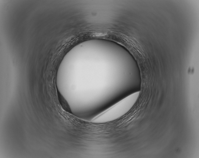 X0000091061441200708060949