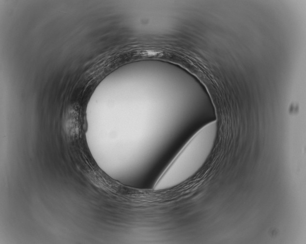 X0000091061442200708060949