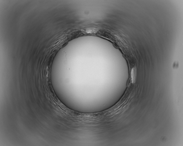 X0000091061443200708060949