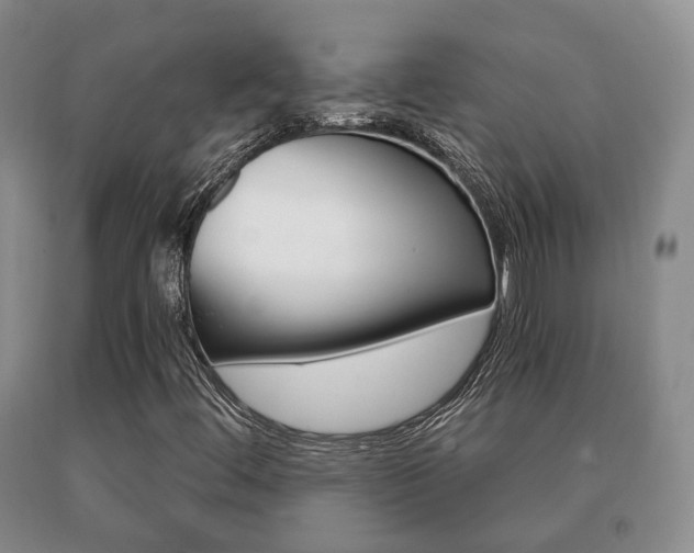 X0000091061444200708060949