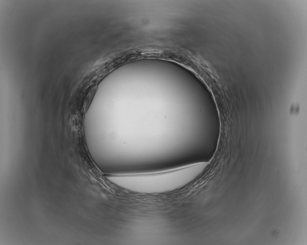 X0000091061445200708060949