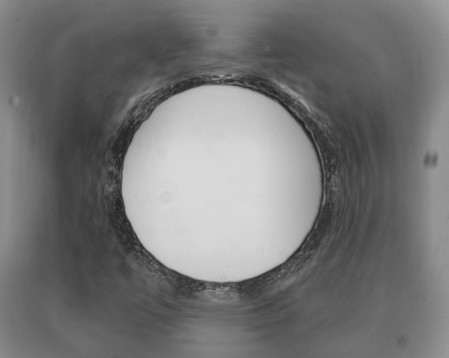 X0000091061447200708060949