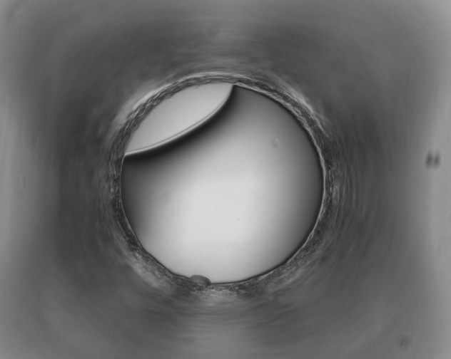 X0000091061448200708060949