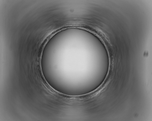 X0000091061449200708060949