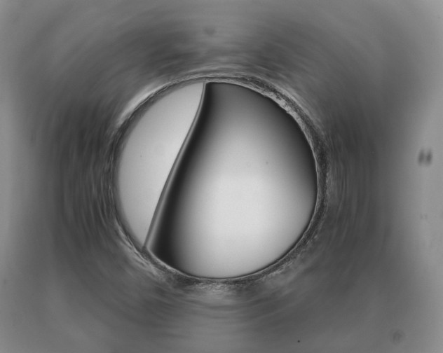 X0000091061450200708060949