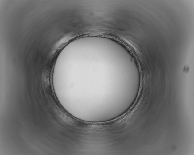 X0000091061451200708060949