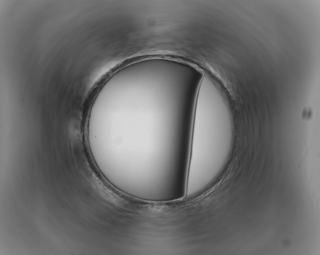 X0000091061452200708060949