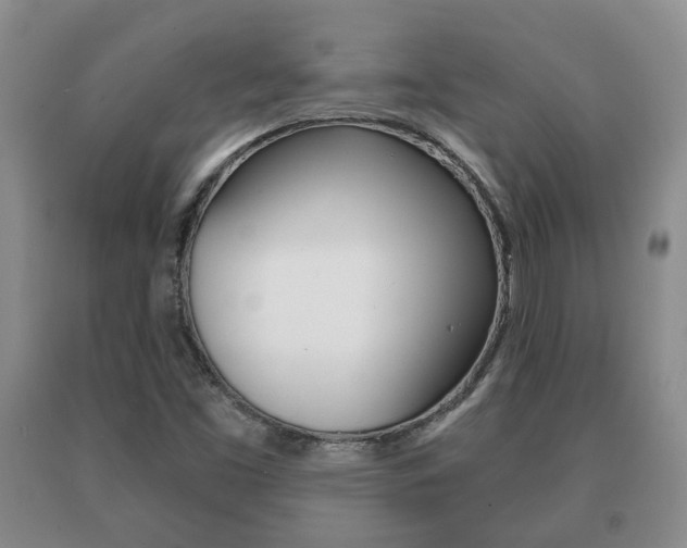X0000091061453200708060949