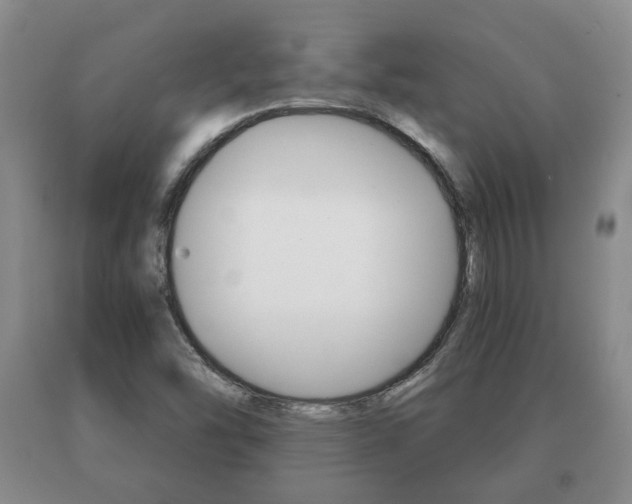 X0000091061454200708060949