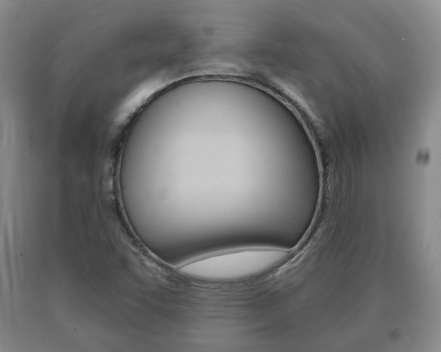 X0000091061455200708060949