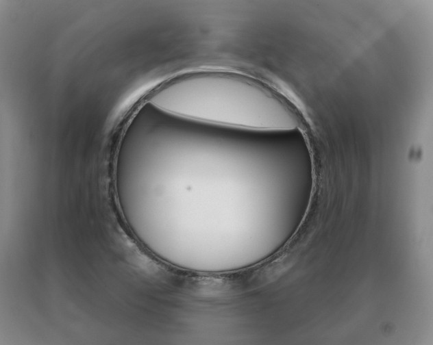 X0000091061456200708060949