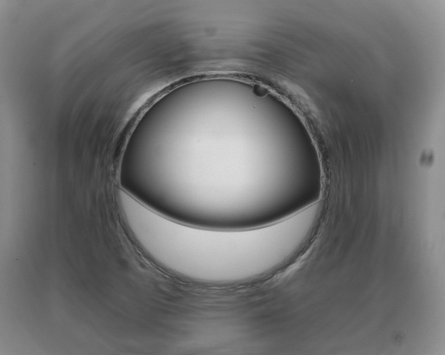 X0000091061457200708060949