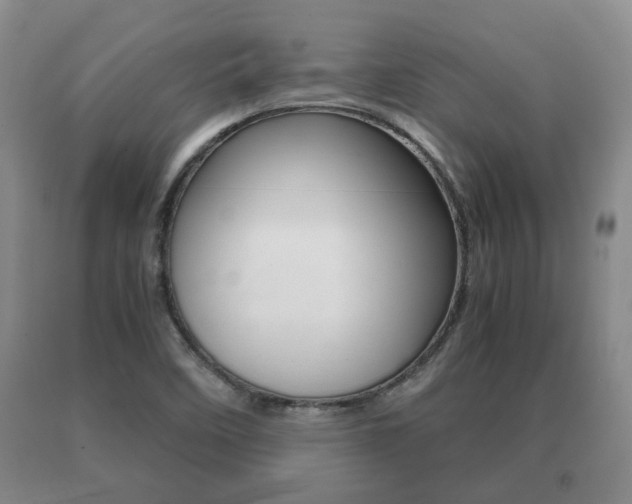 X0000091061458200708060949