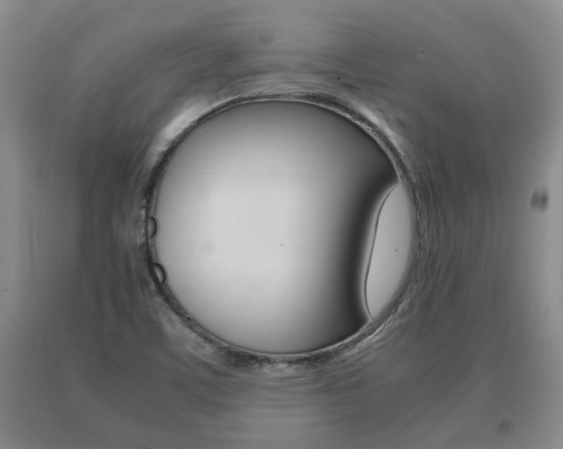 X0000091061459200708060949