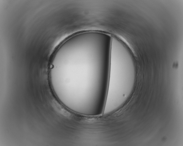 X0000091061460200708060949