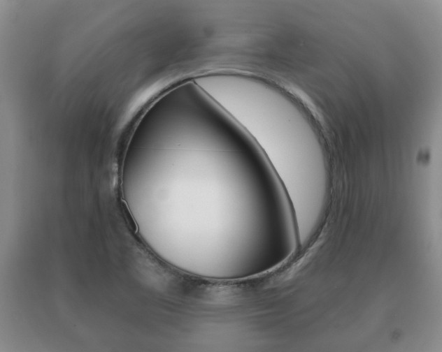 X0000091061461200708060949