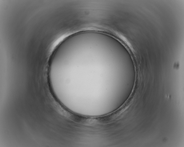 X0000091061463200708060949