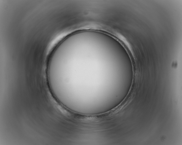 X0000091061464200708060949