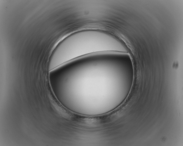 X0000091061465200708060949