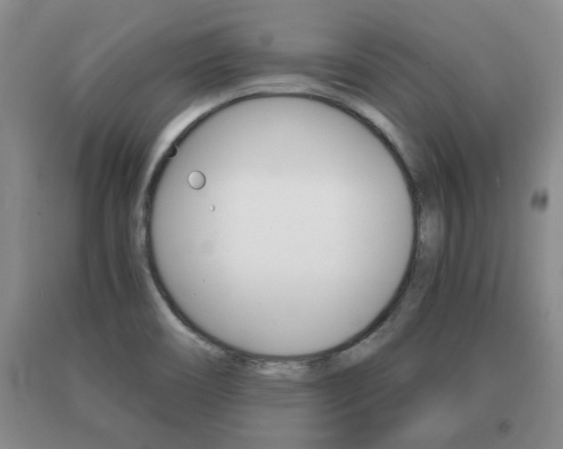 X0000091061466200708060949