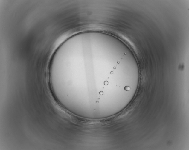 X0000091061467200708060949