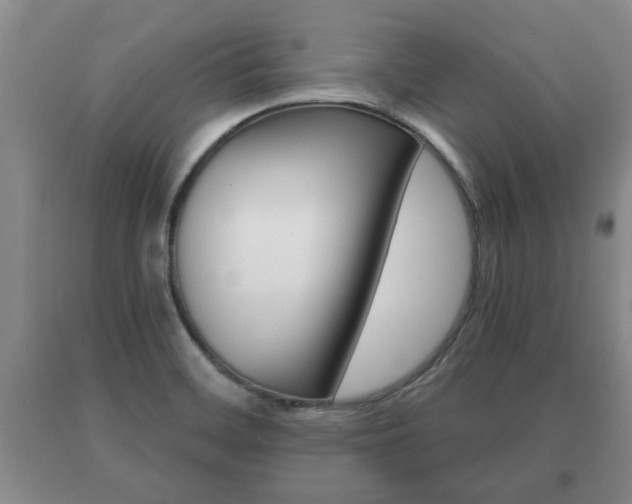 X0000091061468200708060949