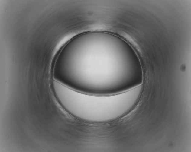 X0000091061469200708060949